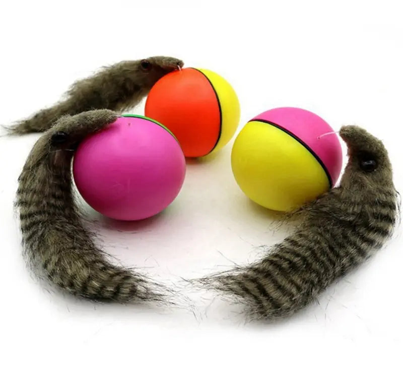 - Parrot toy selectionMotor Operated Ball with a Furry Tail