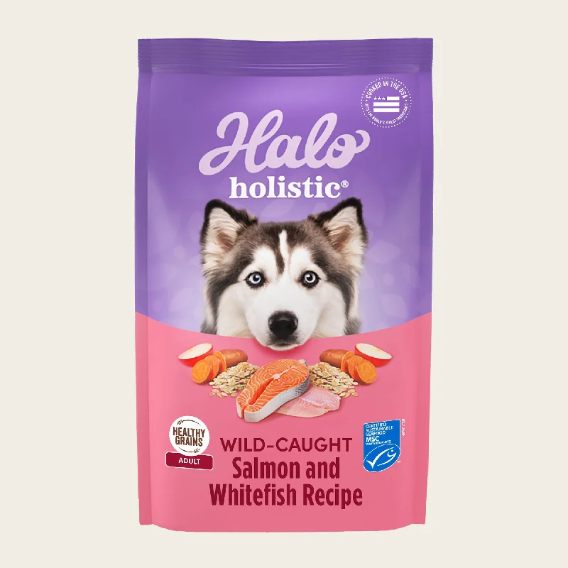 - Dog food online shopping recommendationHolistic Healthy Grains Wild-Caught Salmon & Whitefish Recipe Adult Dry Dog Food