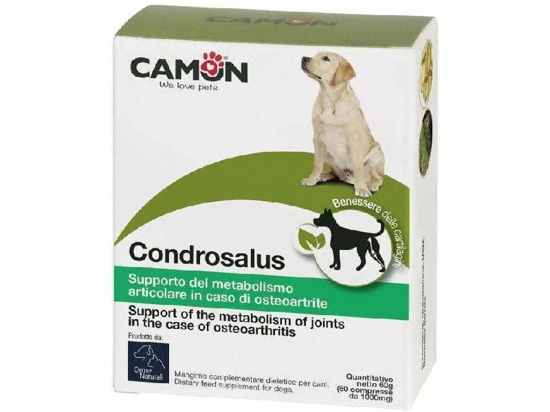 - Dog heart rate monitoring collarCondrosalus Tablets