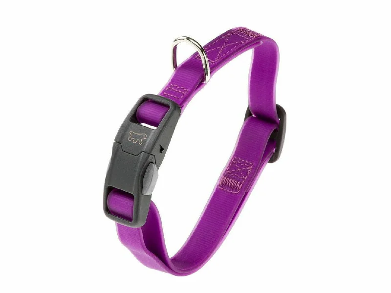 - Durable nylon dog leash wholesaleEVOLUTION C16/44 VIOLA COLL.