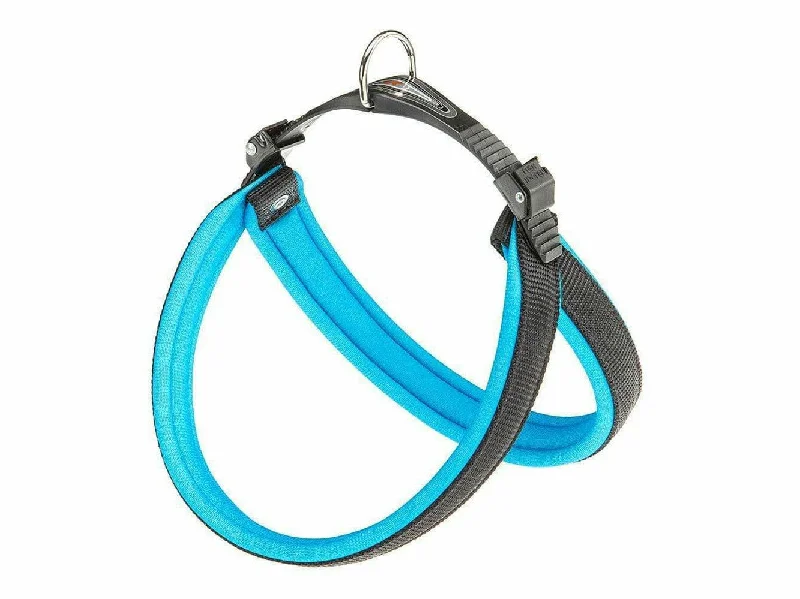 - Elderly dog ​​joint care mattressAGILA FLUO 7 BLUE HARNESS