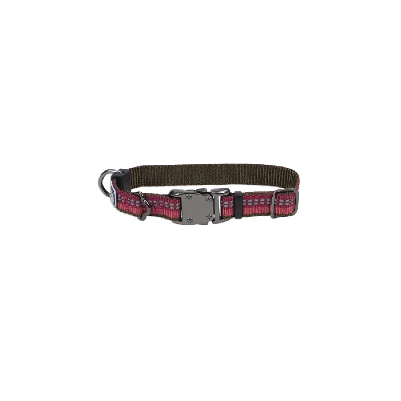 - Pet monitor with cameraCoastal Pet K9 Explorer Reflective Adjustable Dog Collar