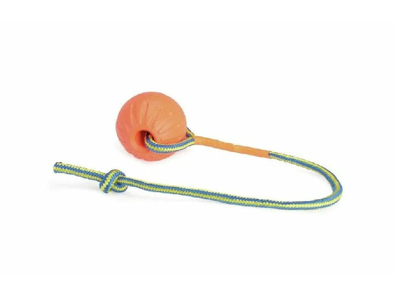 - Deodorizing cat litter tofu litterDog Toy - Eva Ball With Rope - Orange - 90Mm