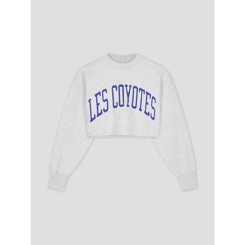 - Pregnant cat delivery room warming boxLes Coyotes De Paris Grey Melange Large Logo Cropped Sweatshirt