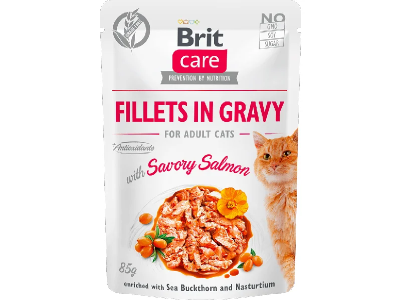 - Climbing pet constant temperature heating padBrit Care Cat Fillets in Gravy with Savory Salmon  85 g