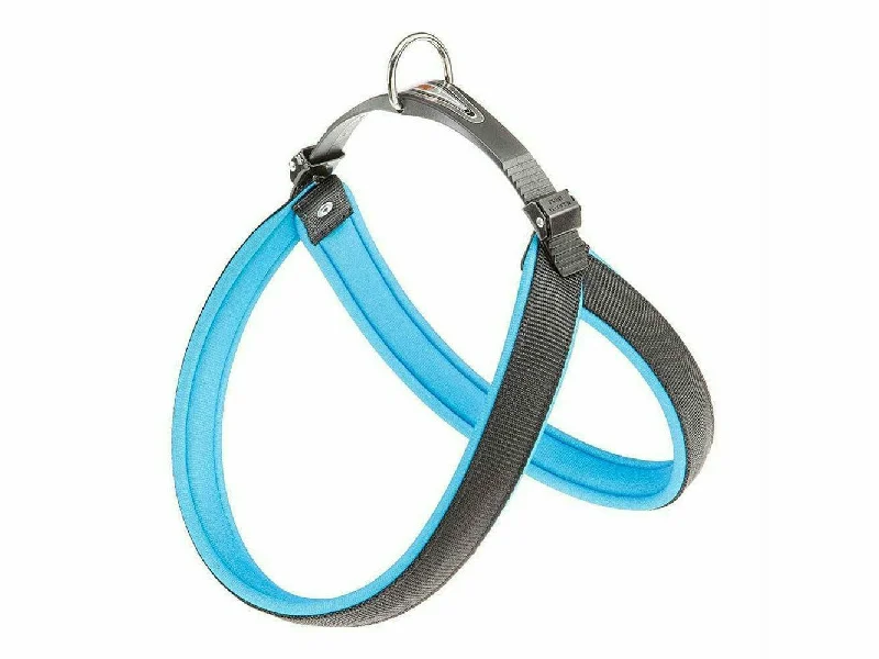 ---AGILA FLUO 4 BLUE HARNESS