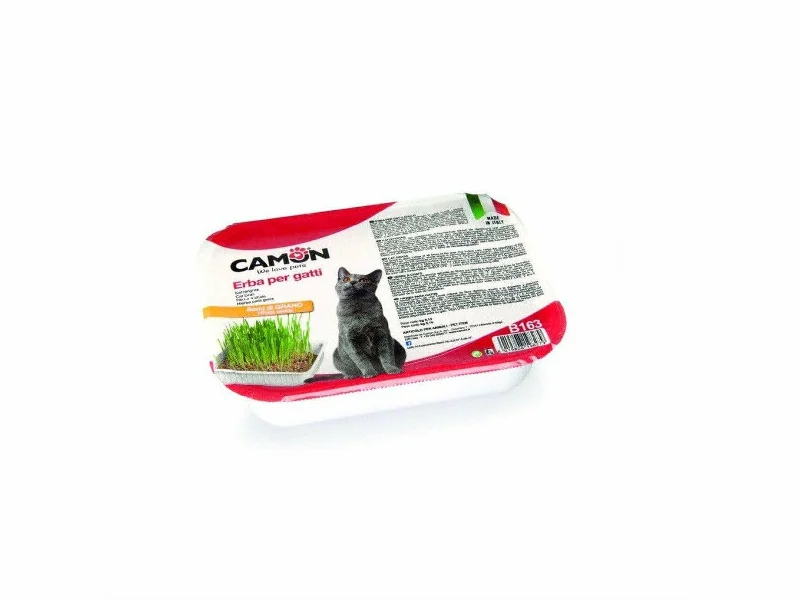  -Non-contact cat thermometerCat Grass  - Wheat