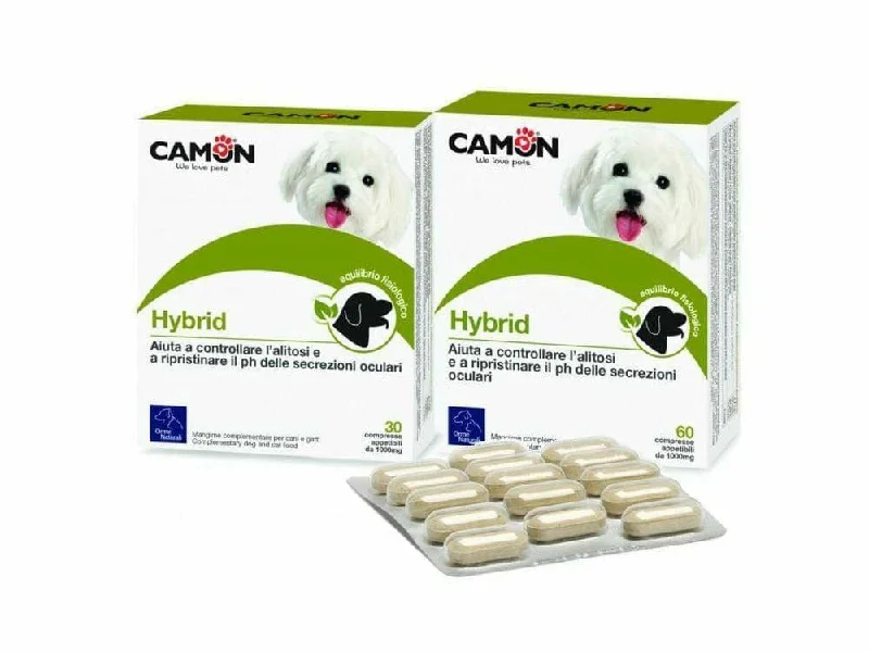 - Pet smart GPS locatorHybrid Tablets