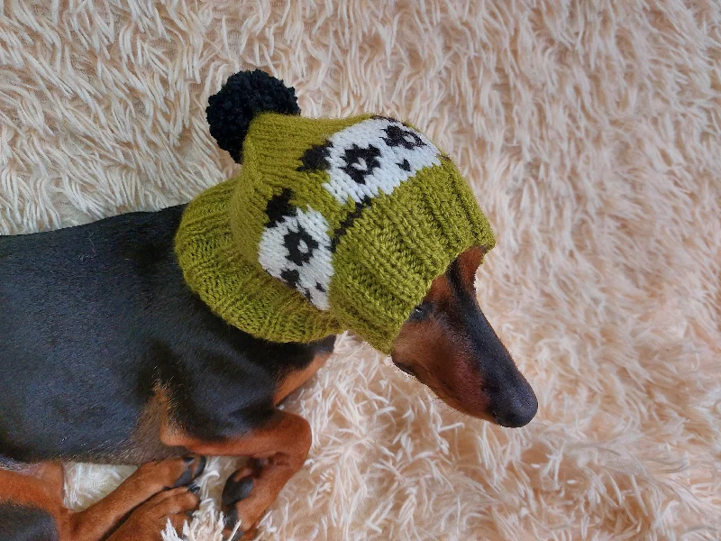 Pet night clothes with LED lightsHandmade knitted panda hat for dachshund dog