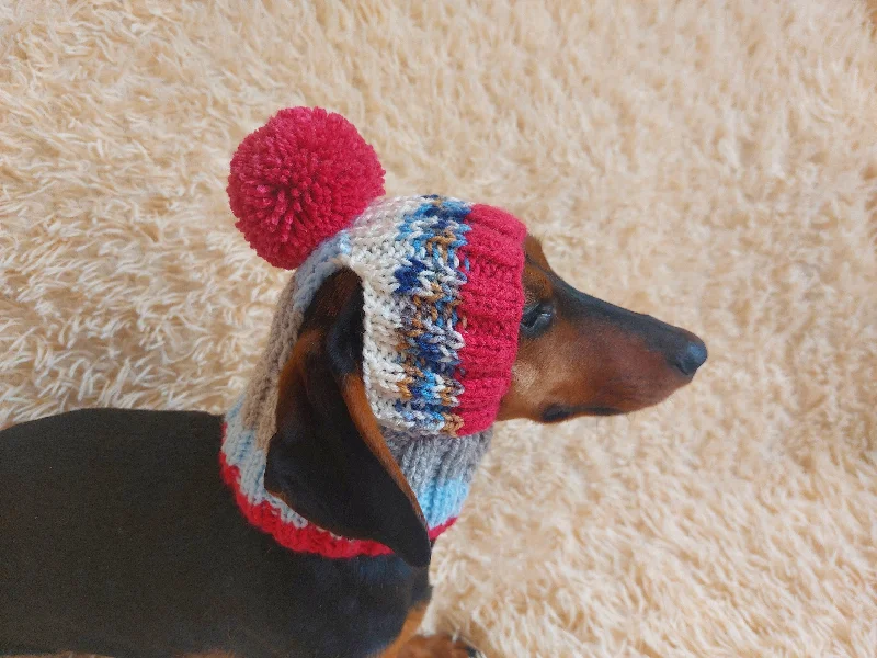 Pet rehabilitation recovery clothes (such as post-operative clothes)Rainbow striped snood hat for dogs, rainbow hat for dachshunds with open ears