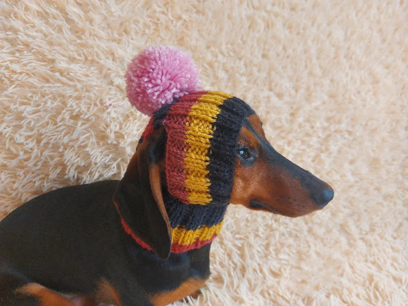 Pet summer light clothesRainbow striped snood hat for dogs, rainbow hat for dachshunds with open ears