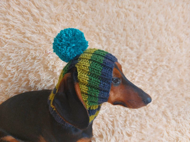 Winter warm clothes for catsRainbow striped snood hat for dogs, rainbow hat for dachshunds with open ears