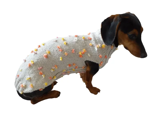 Small dog clothesNew exclusive collection of sweaters with flowers and butterflies for the miniature dachshund or small dog