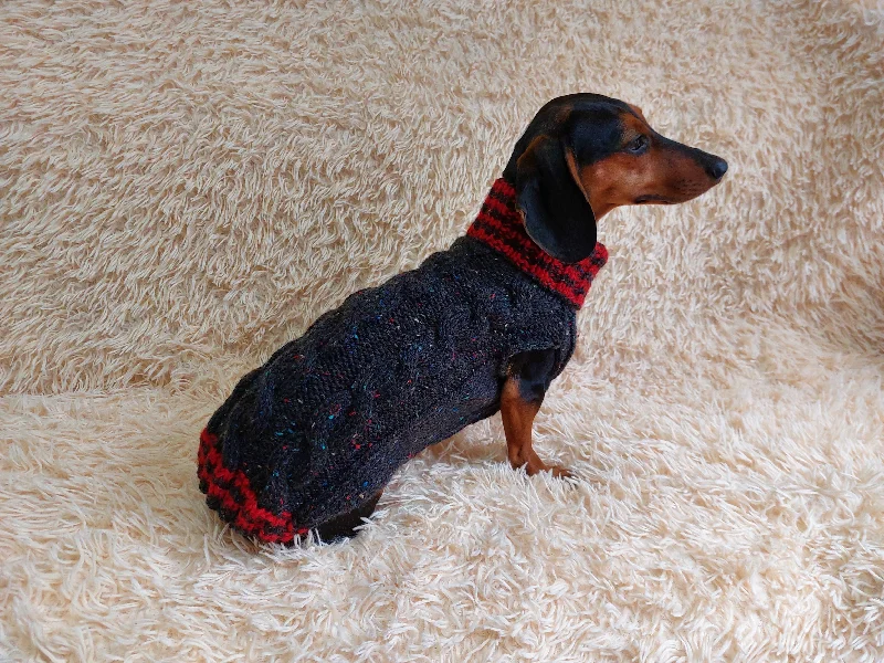 Pet walking leash setAlpaca wool pet clothes jumper - warm sweater for dog - warm clothes sweater for dachshund