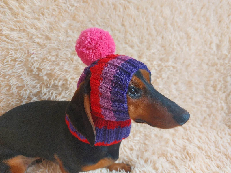 Classification by function or use:Rainbow striped snood hat for dogs, rainbow hat for dachshunds with open ears