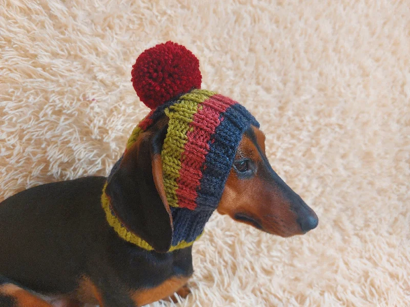 Classification by season or weather:Rainbow striped snood hat for dogs, rainbow hat for dachshunds with open ears