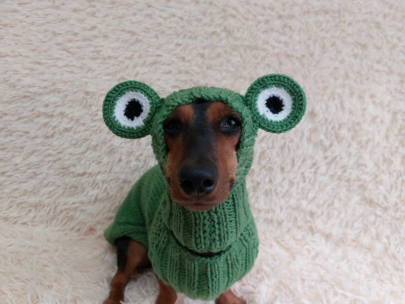 Classification by function or use:Pet Frog Costume - Halloween Costume Frog Sweater and Hat - Dachshund Frog Set for Dog Photo Shoot-Halloween dog costume for small dog Frog