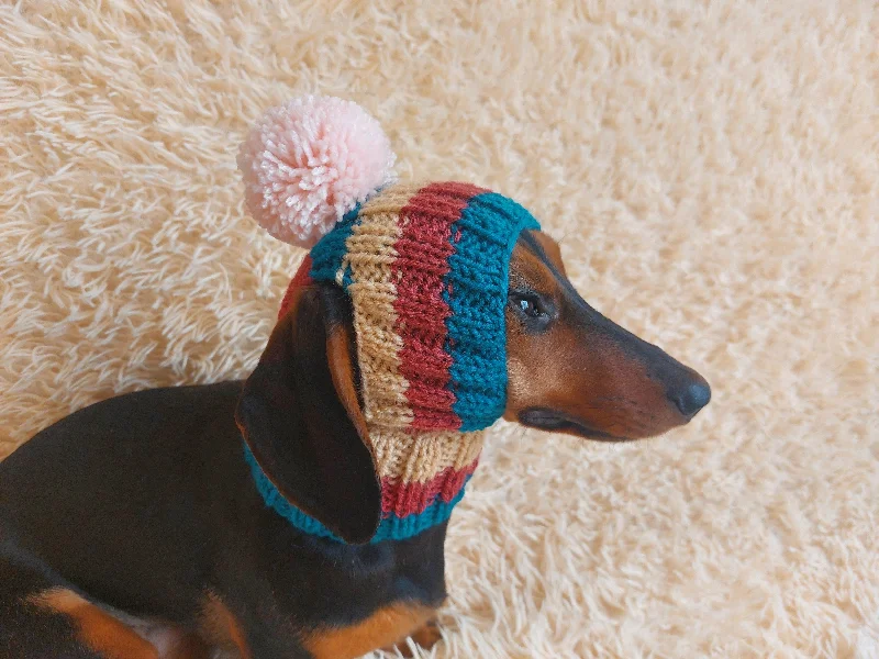 Large dog clothesRainbow striped snood hat for dogs, rainbow hat for dachshunds with open ears