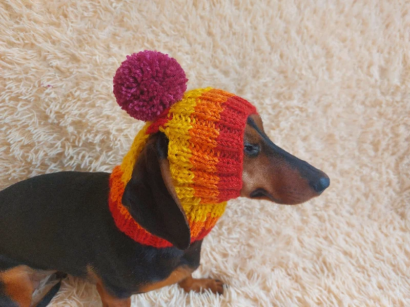 Pet sun protection clothesRainbow striped snood hat for dogs, rainbow hat for dachshunds with open ears