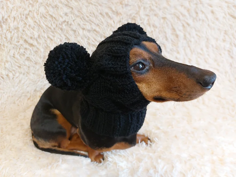 Large dog clothesHat for dog with two pompons, hat for dachshund with two pompons