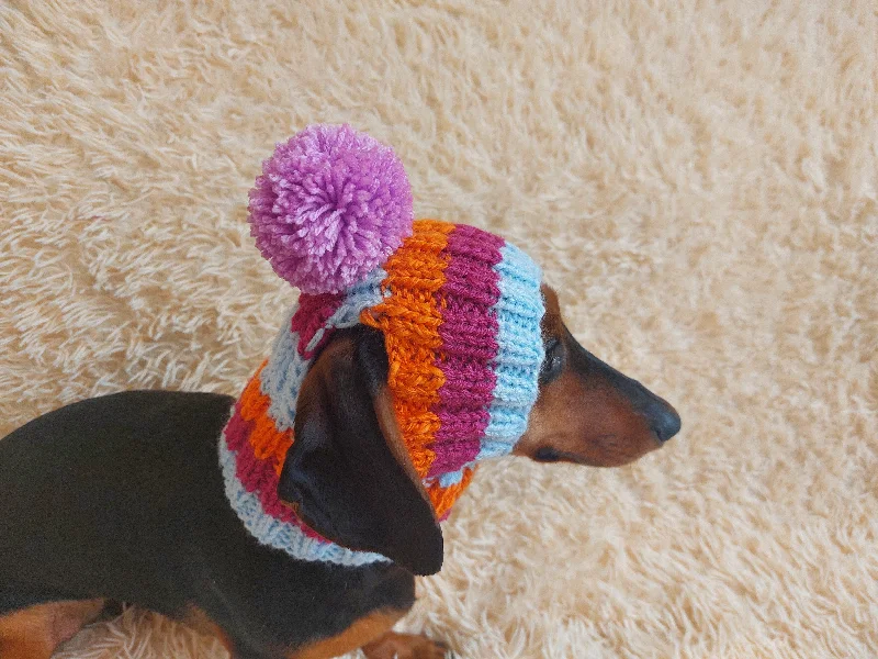 Pet holiday dress-up clothesRainbow striped snood hat for dogs, rainbow hat for dachshunds with open ears