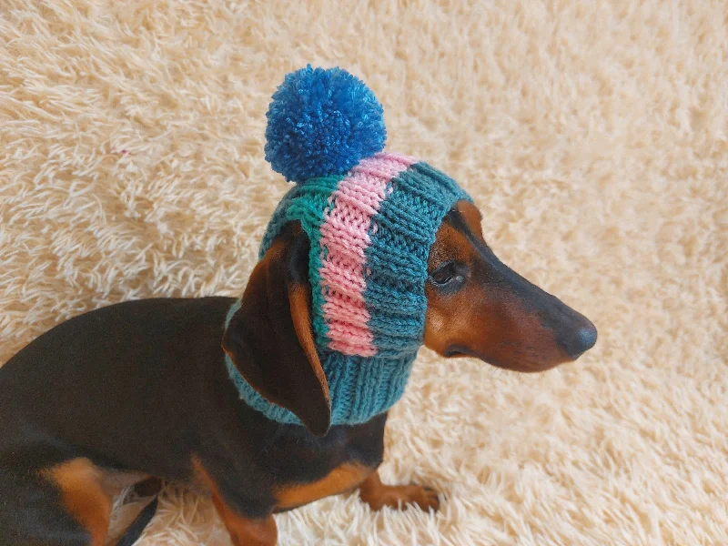 Pet raincoatRainbow striped snood hat for dogs, rainbow hat for dachshunds with open ears