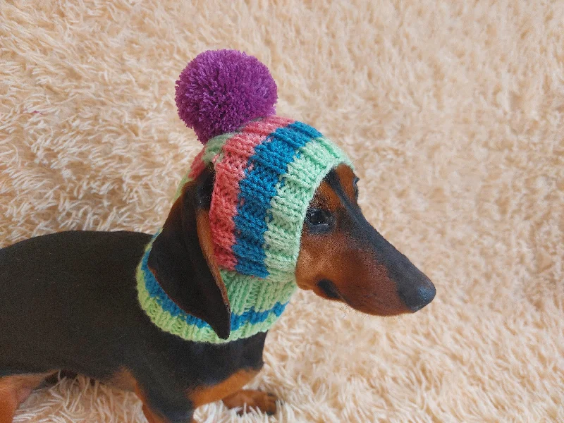 Pet anti-flea collarRainbow striped snood hat for dogs, rainbow hat for dachshunds with open ears